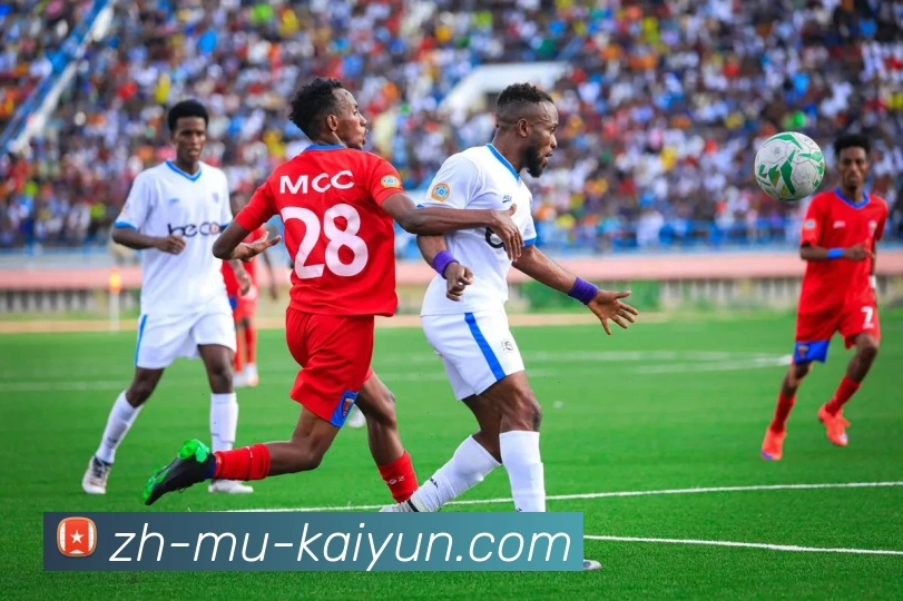 开云appAPP 封面图